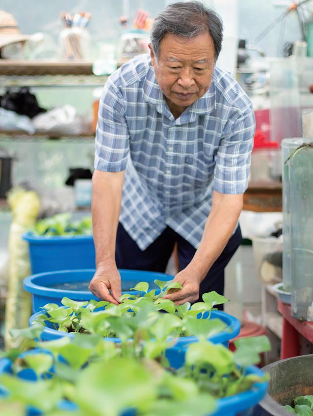 주방에서 열심히 일하는 주인공 이미지