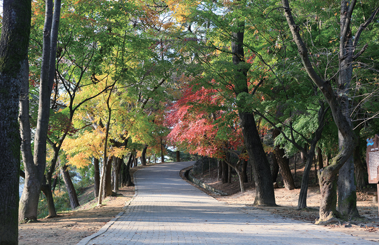 부소산성 낙화암가는길 (사진출처 : 부여군청)