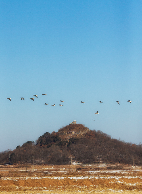 삽슬봉 아이스크림고지