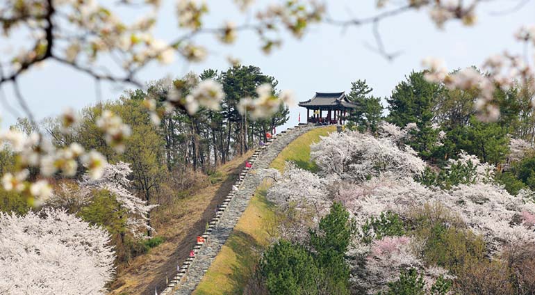 영남루 수변공원길