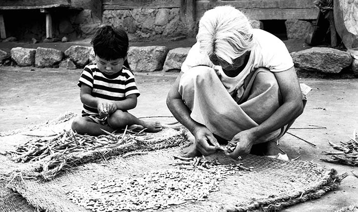 할머니를 도와 콩을 까는 어린이